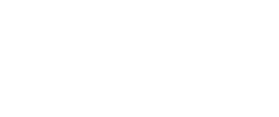 Phynet Inc